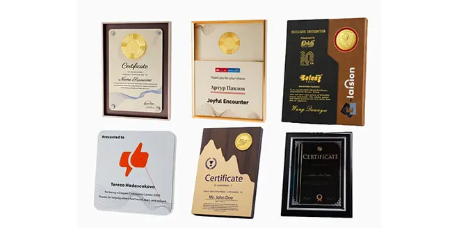 Certificate Frame